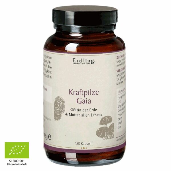 Erdling Kraftpilze Gaia – Vitalpilz Synergetikum